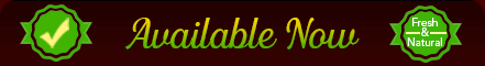 aditi is available now